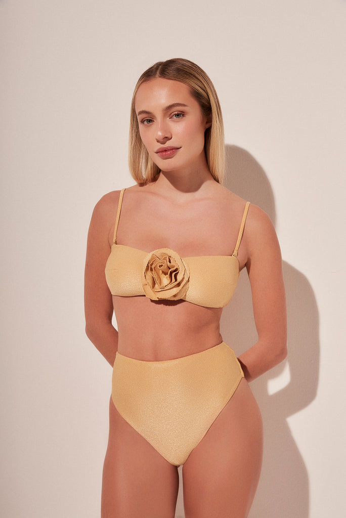 hibiscus bandeau bikini top s1609b1810;hibiscus bandeau bikini top s1609b1810;hibiscus bandeau bikini top s1609b1810;hibiscus bandeau bikini top s1609b1810;hibiscus bandeau bikini top s1609b1810