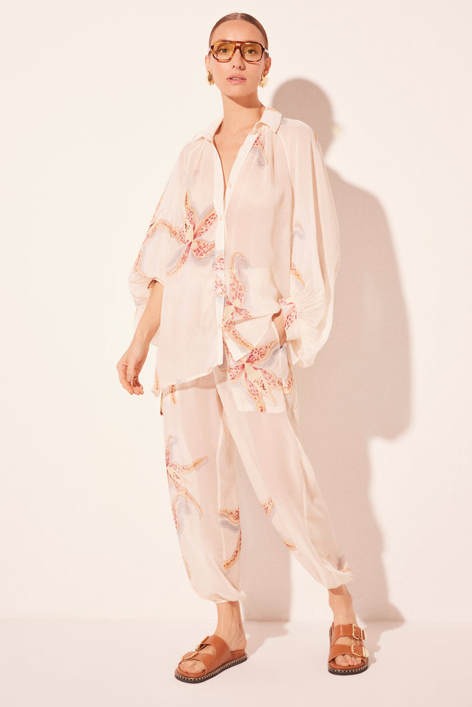 orchids long sleeve shirt e6278a2701;orchids long sleeve shirt e6278a2701;orchids long sleeve shirt e6278a2701;orchids long sleeve shirt e6278a2701;orchids long sleeve shirt e6278a2701